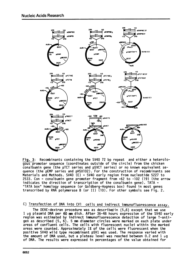 icon of scanned page 6052