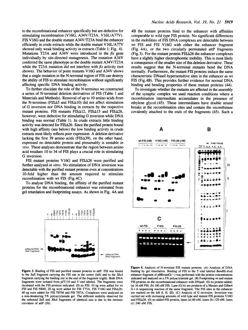 icon of scanned page 5919