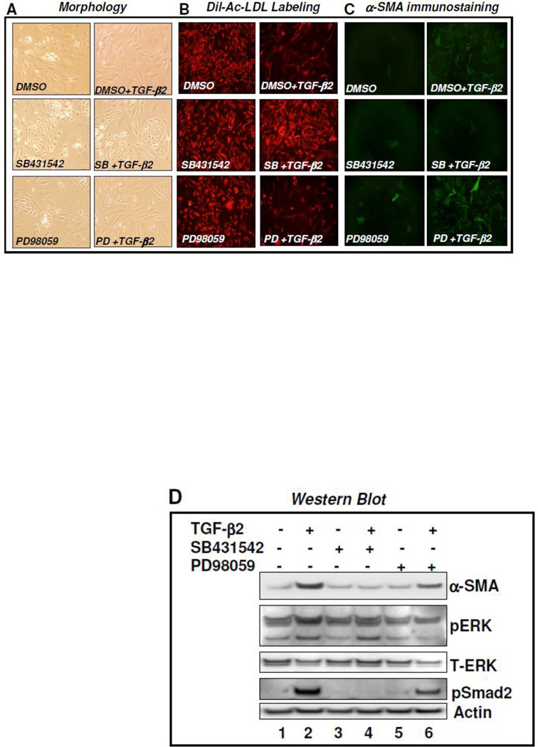 An external file that holds a picture, illustration, etc.
Object name is nihms348173f1.jpg