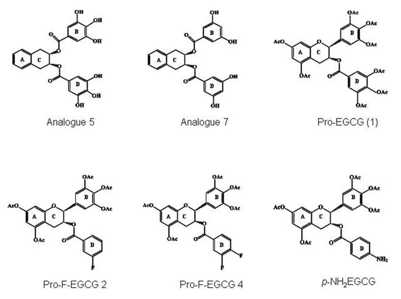 An external file that holds a picture, illustration, etc.
Object name is nihms-362019-f0003.jpg