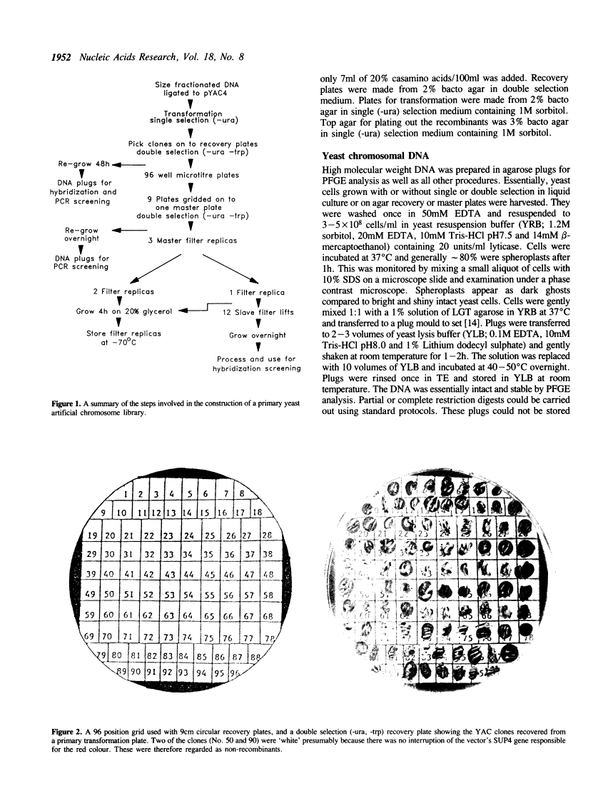 icon of scanned page 1952