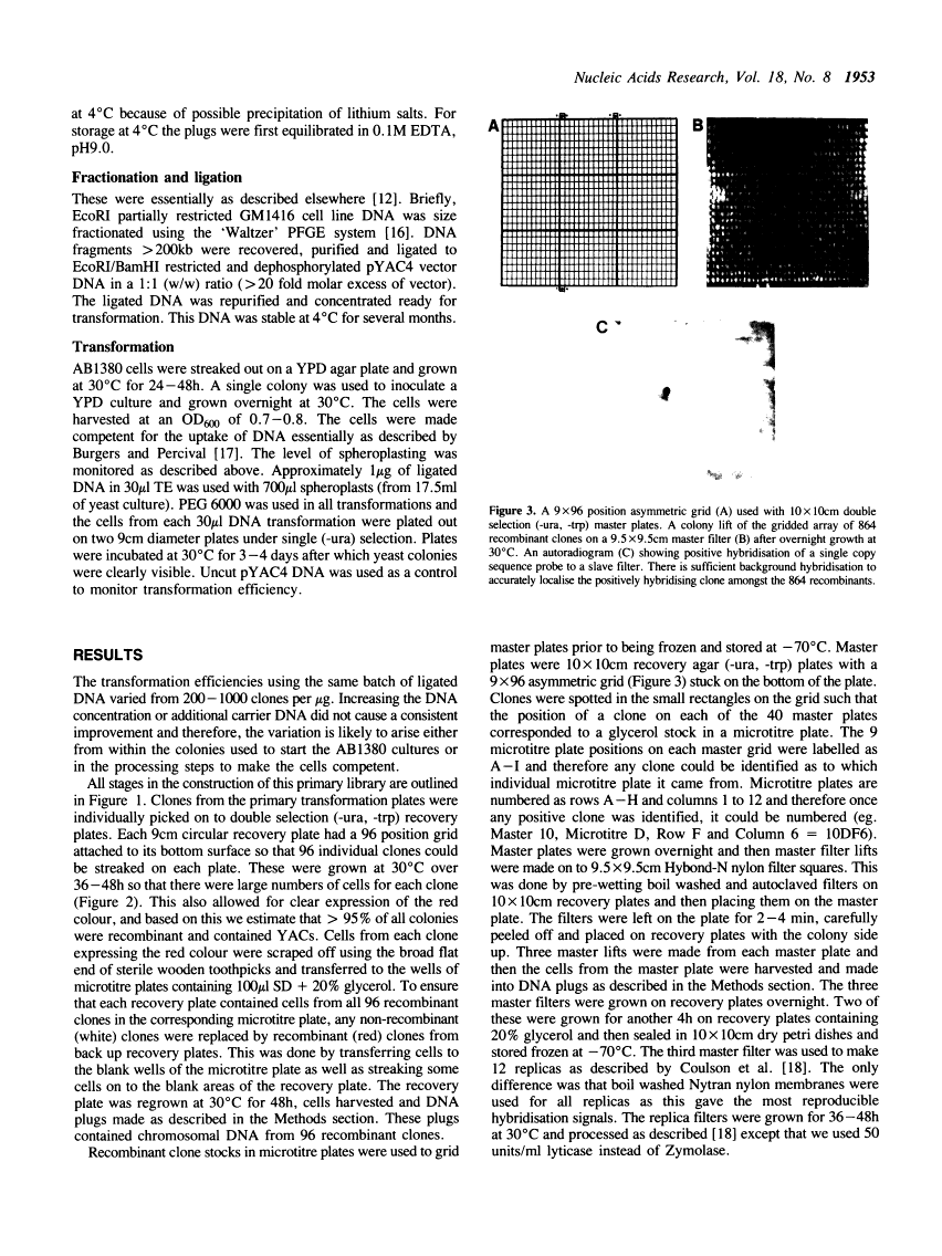 icon of scanned page 1953