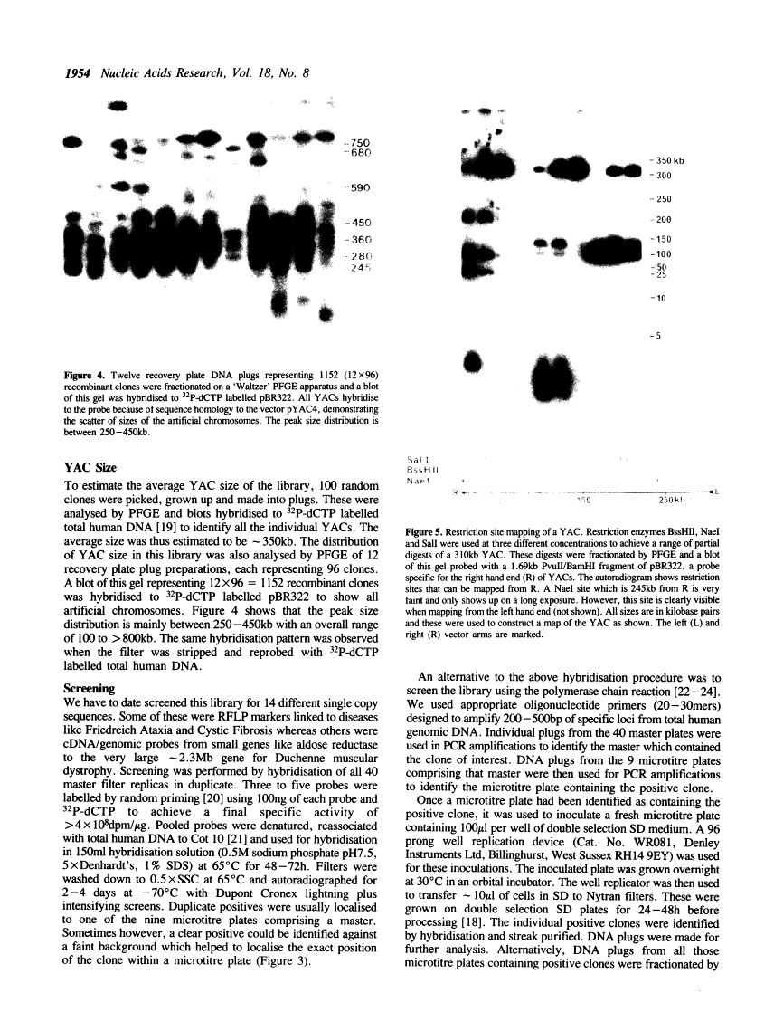 icon of scanned page 1954