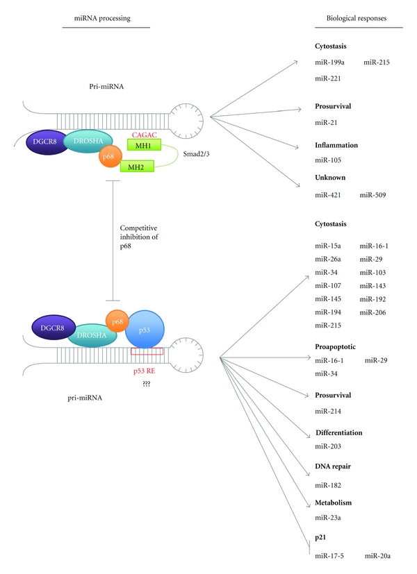 An external file that holds a picture, illustration, etc.
Object name is JST2012-294097.003.jpg