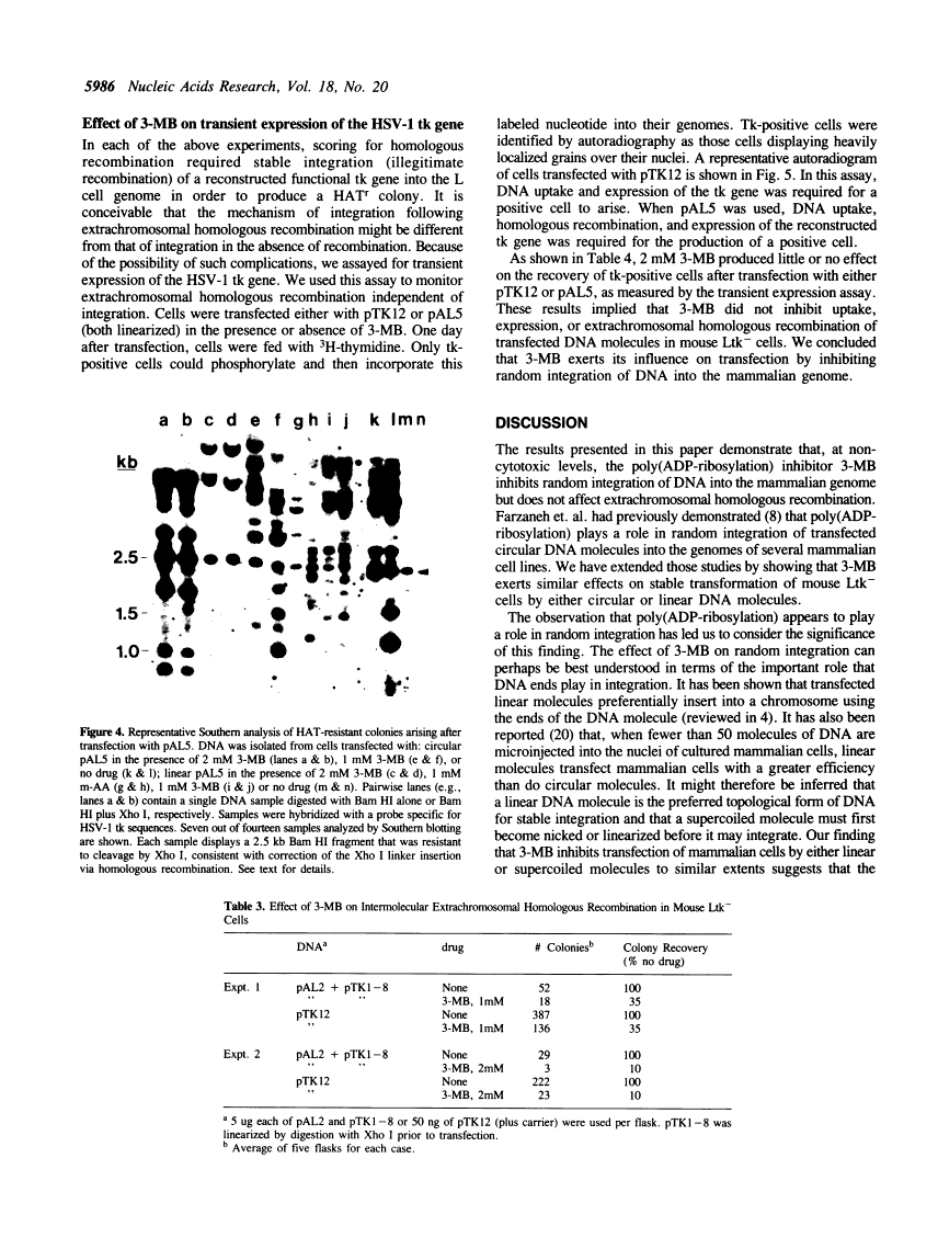 icon of scanned page 5986