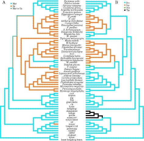 An external file that holds a picture, illustration, etc.
Object name is molbiolevolmsr310f03_3c.jpg