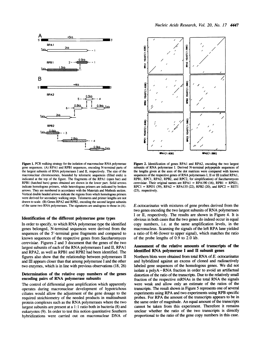 icon of scanned page 4447