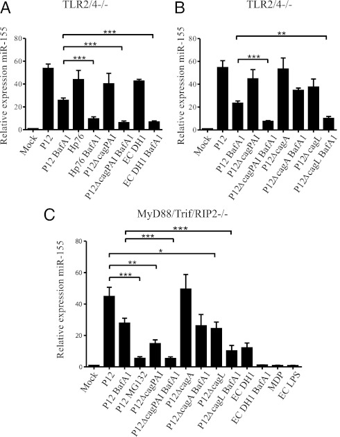 An external file that holds a picture, illustration, etc.
Object name is pnas.1116125109fig03.jpg