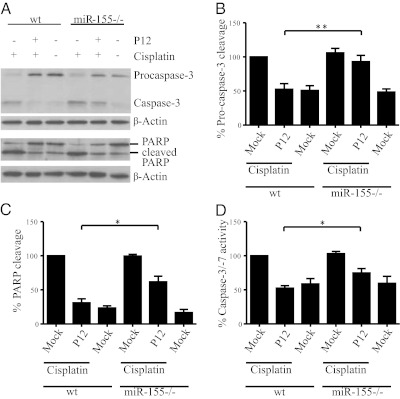 An external file that holds a picture, illustration, etc.
Object name is pnas.1116125109fig06.jpg