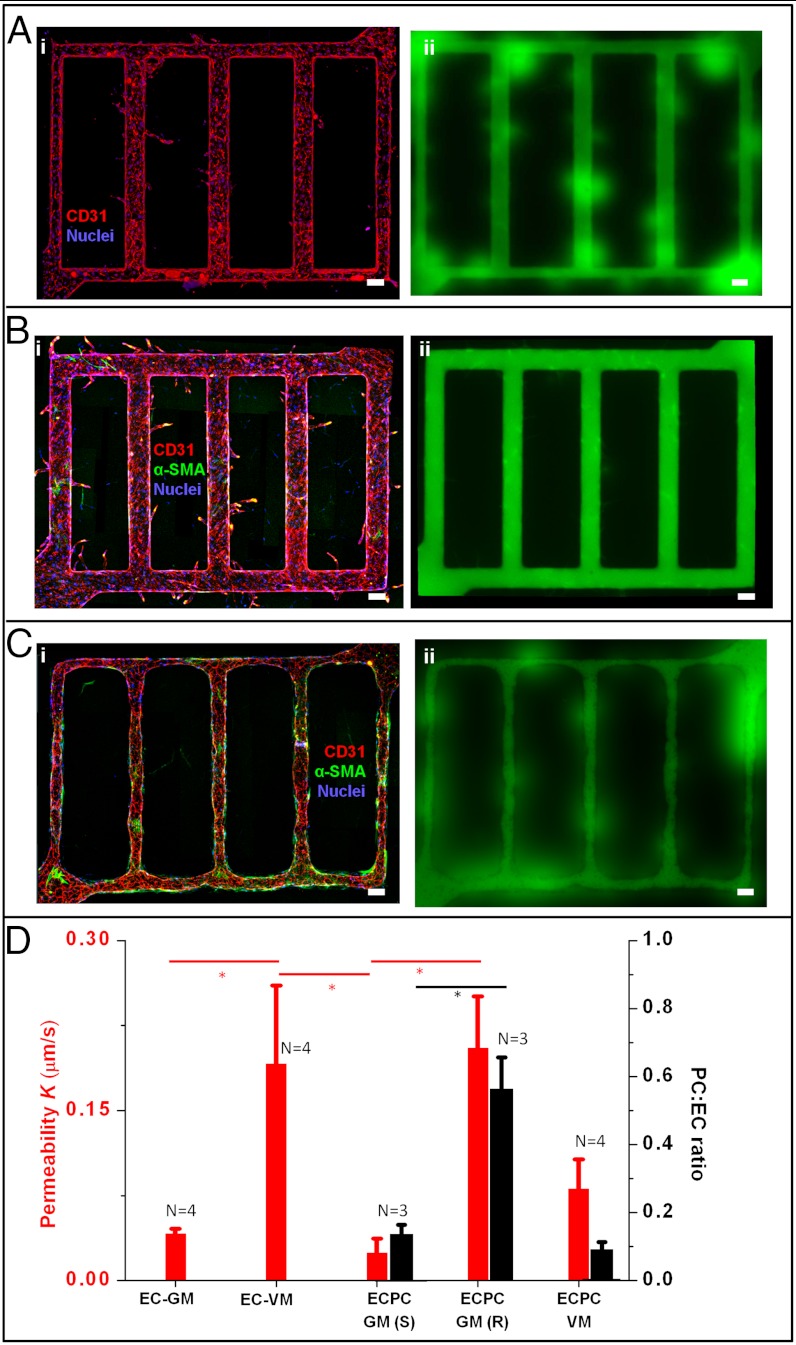 An external file that holds a picture, illustration, etc.
Object name is pnas.1201240109fig2.jpg