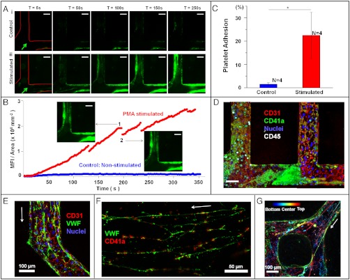 An external file that holds a picture, illustration, etc.
Object name is pnas.1201240109fig3.jpg