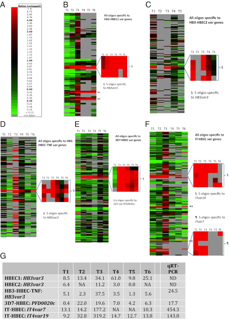 An external file that holds a picture, illustration, etc.
Object name is pnas.1120461109fig02.jpg