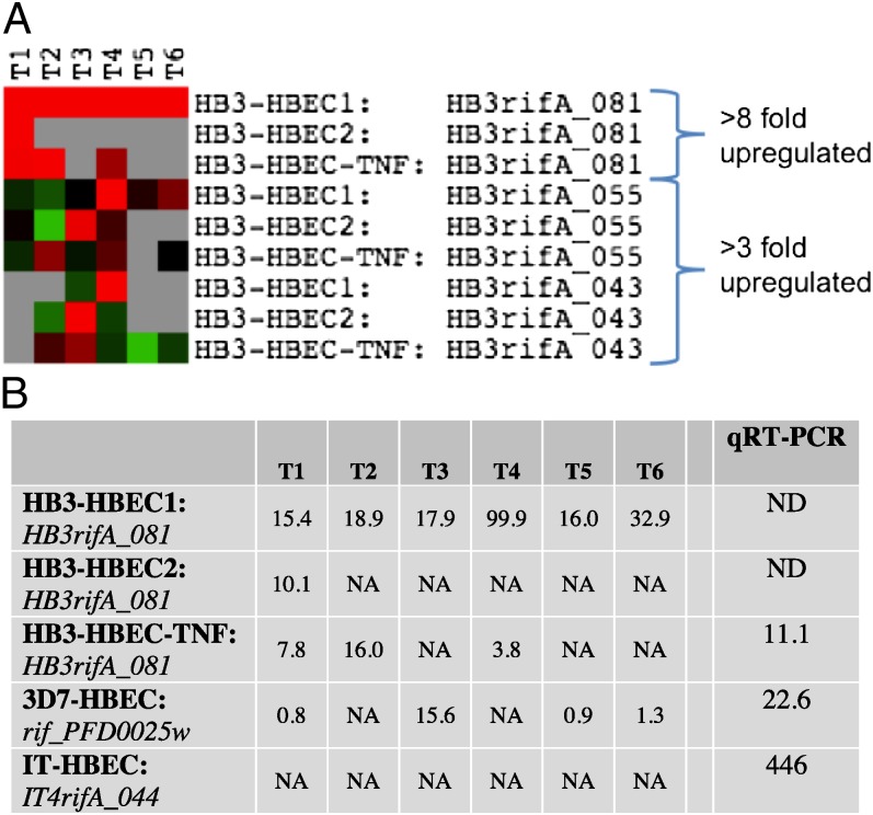 An external file that holds a picture, illustration, etc.
Object name is pnas.1120461109fig03.jpg