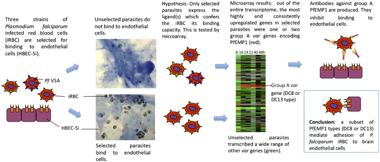 An external file that holds a picture, illustration, etc.
Object name is pnas.1120461S109fig01.jpg