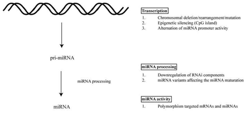 An external file that holds a picture, illustration, etc.
Object name is nihms392898f1.jpg