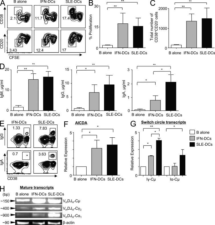 An external file that holds a picture, illustration, etc.
Object name is JEM_20111644R_Fig2.jpg