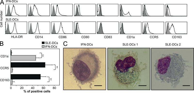 An external file that holds a picture, illustration, etc.
Object name is JEM_20111644_Fig1.jpg