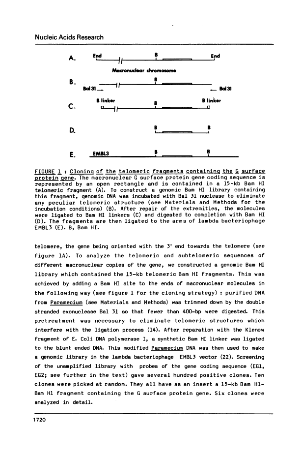 icon of scanned page 1720