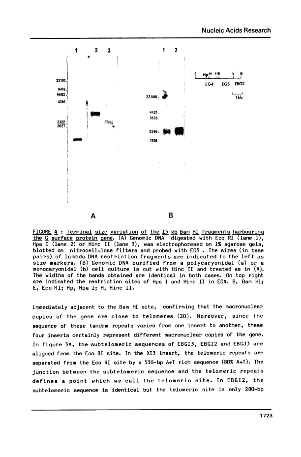 icon of scanned page 1723