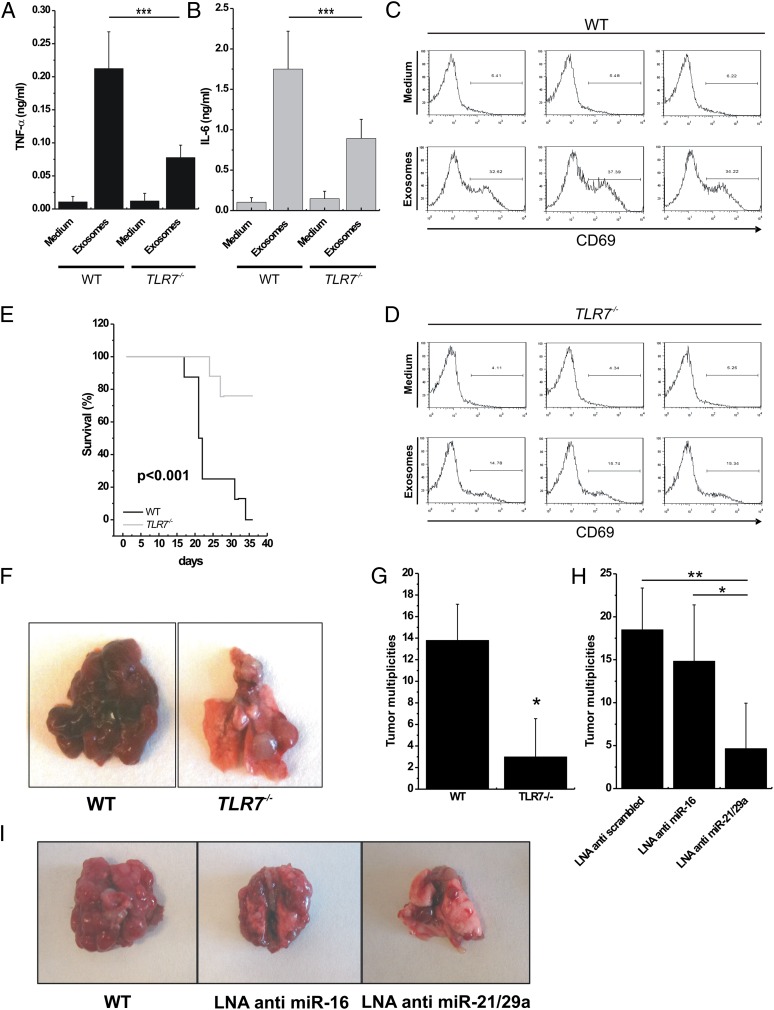 An external file that holds a picture, illustration, etc.
Object name is pnas.1209414109fig04.jpg