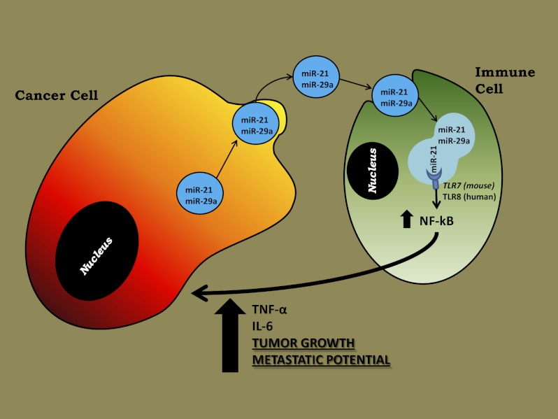 An external file that holds a picture, illustration, etc.
Object name is pnas.1209414S109fig01.jpg