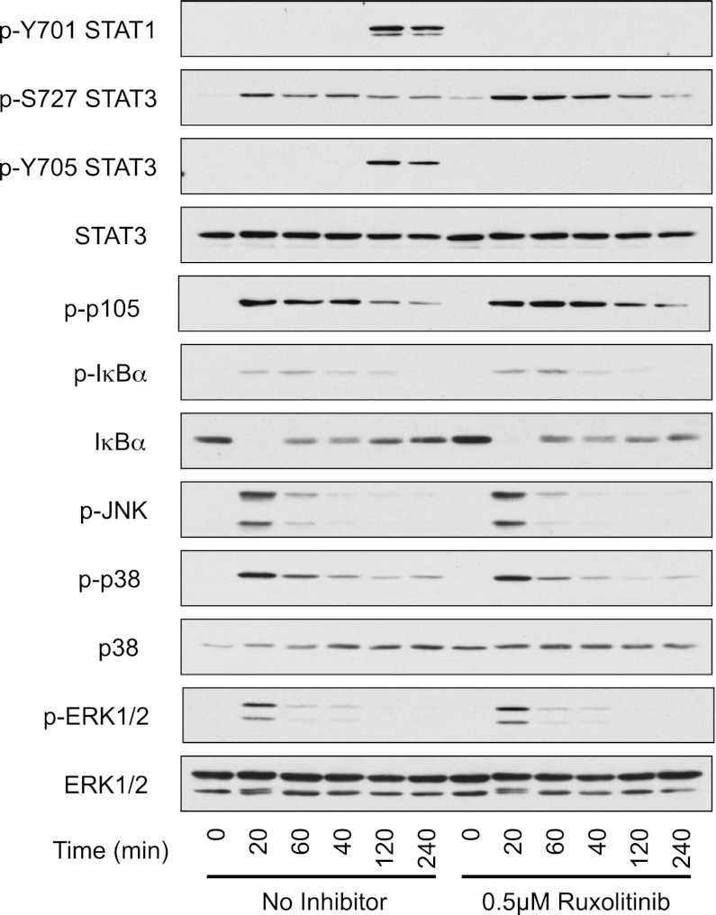 An external file that holds a picture, illustration, etc.
Object name is 1200310fig02.jpg