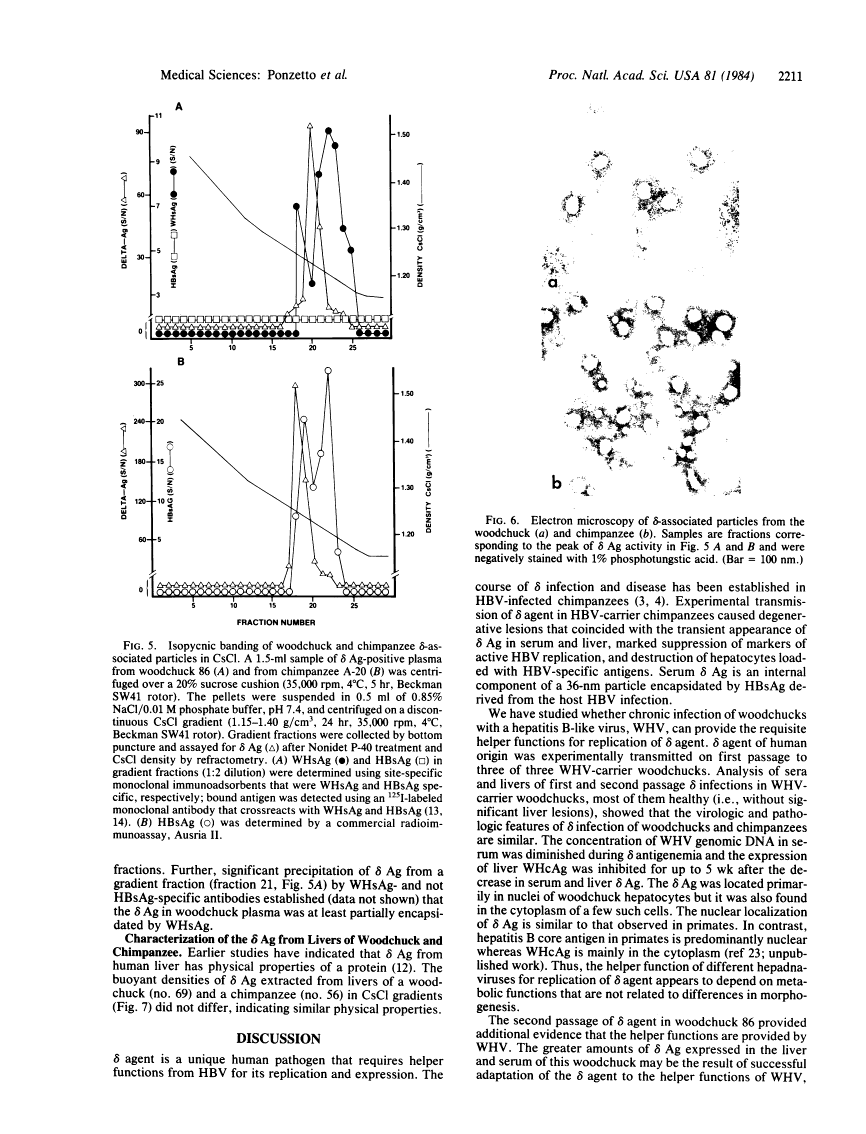 icon of scanned page 2211