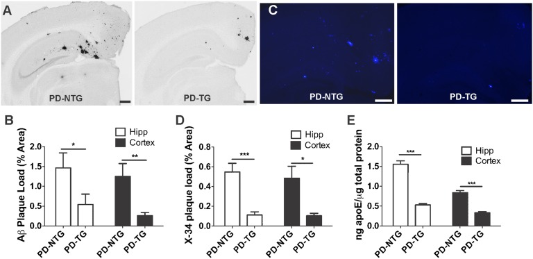 An external file that holds a picture, illustration, etc.
Object name is pnas.1206446109fig02.jpg