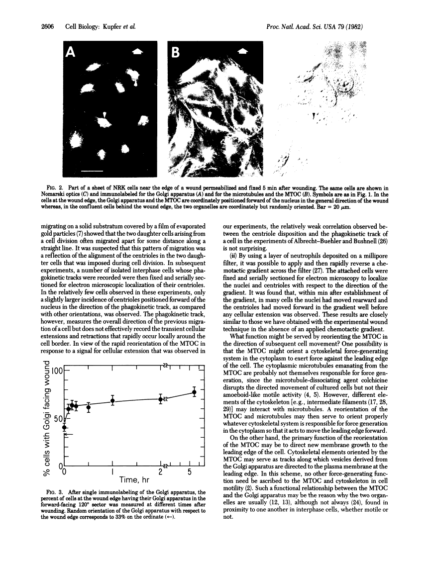 icon of scanned page 2606