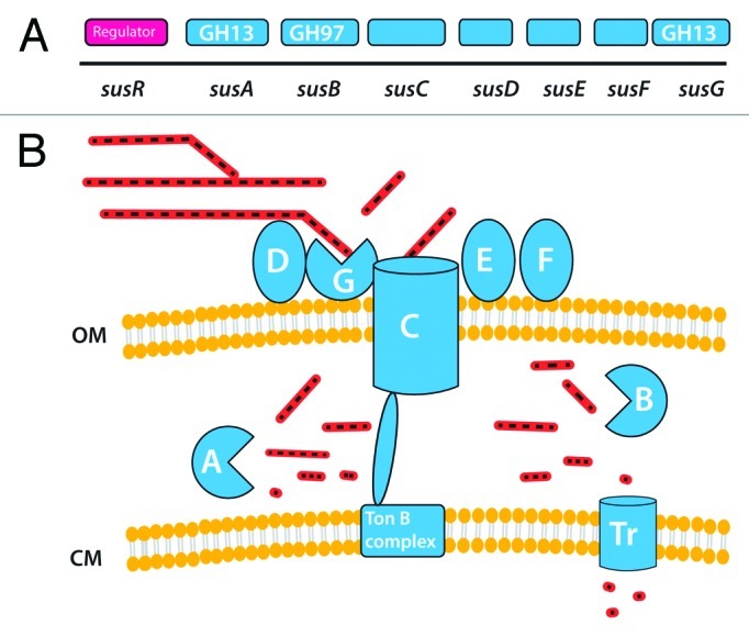 An external file that holds a picture, illustration, etc.
Object name is gmic-3-289-g5.jpg