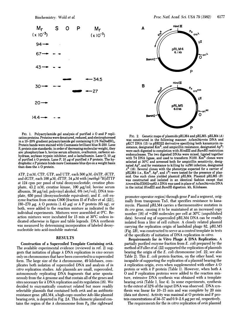 icon of scanned page 6177