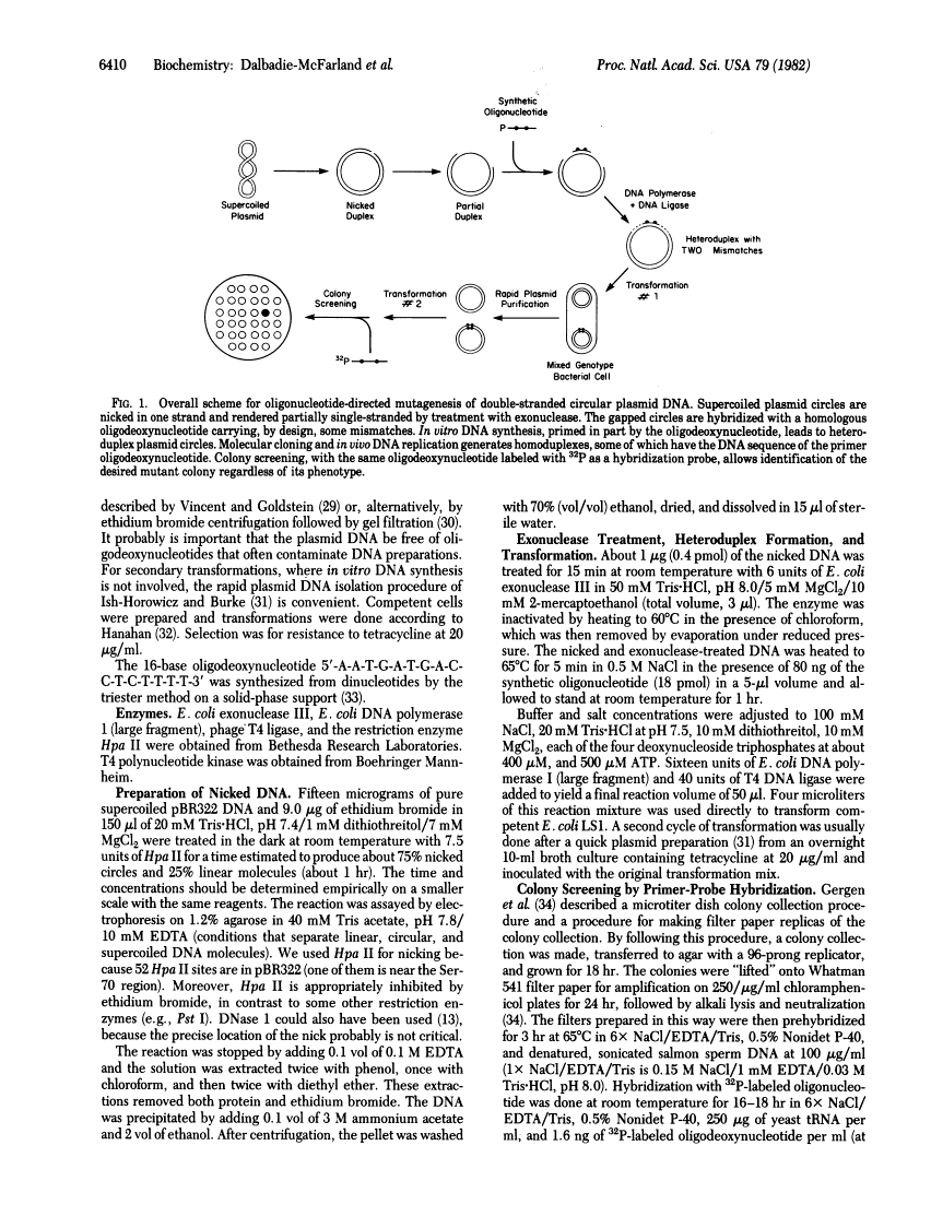 icon of scanned page 6410