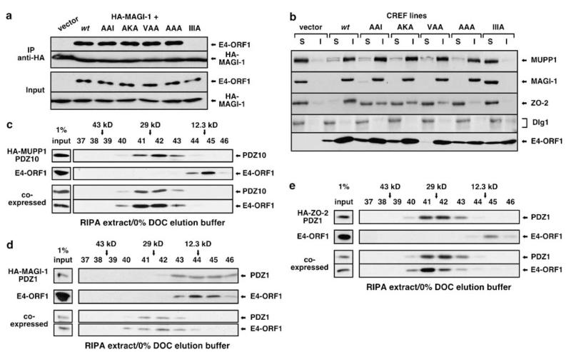 An external file that holds a picture, illustration, etc.
Object name is nihms-411905-f0003.jpg