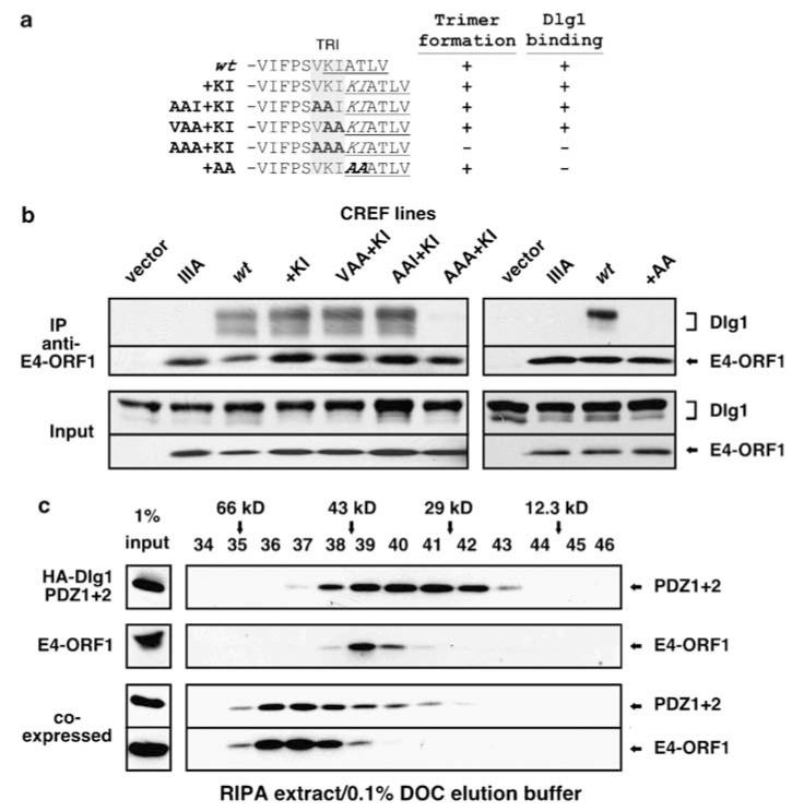 An external file that holds a picture, illustration, etc.
Object name is nihms-411905-f0005.jpg