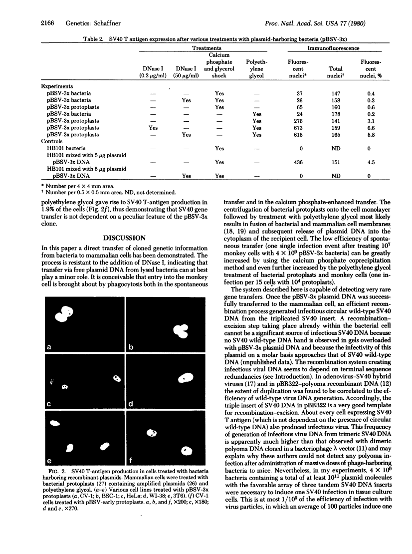 icon of scanned page 2166