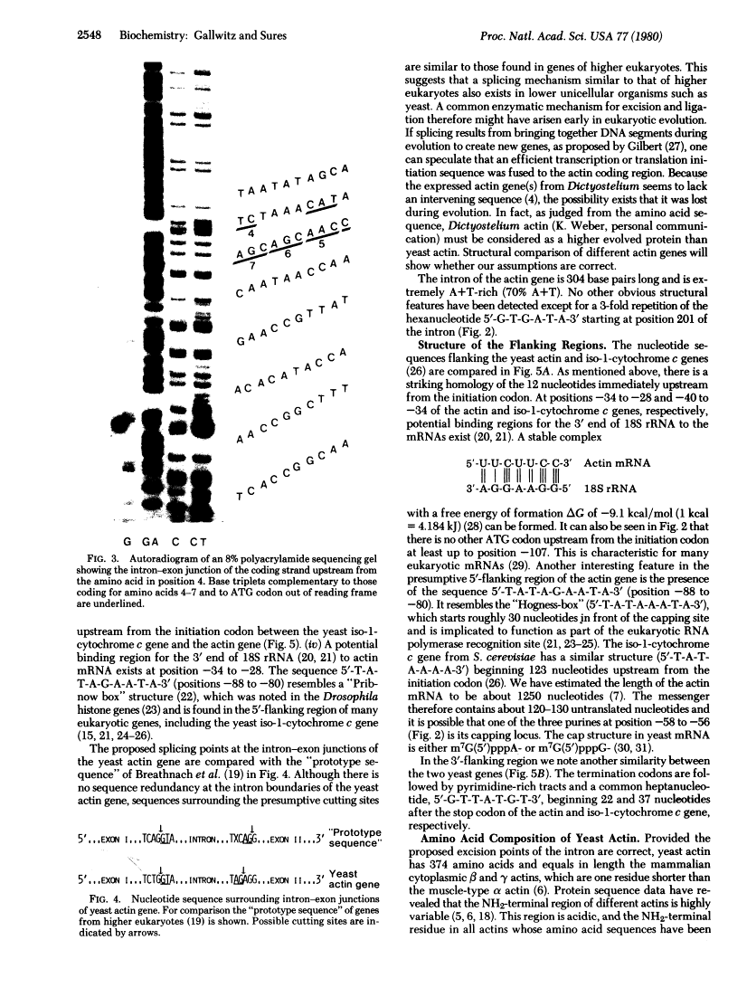 icon of scanned page 2548