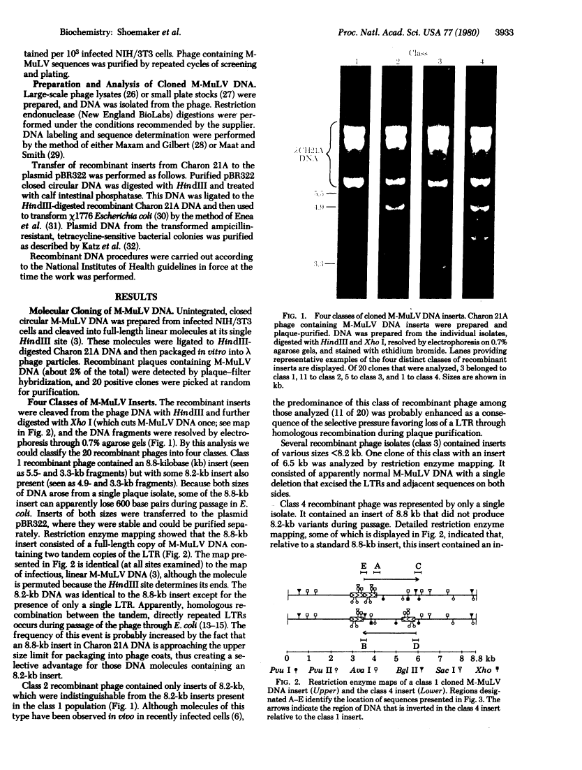 icon of scanned page 3933