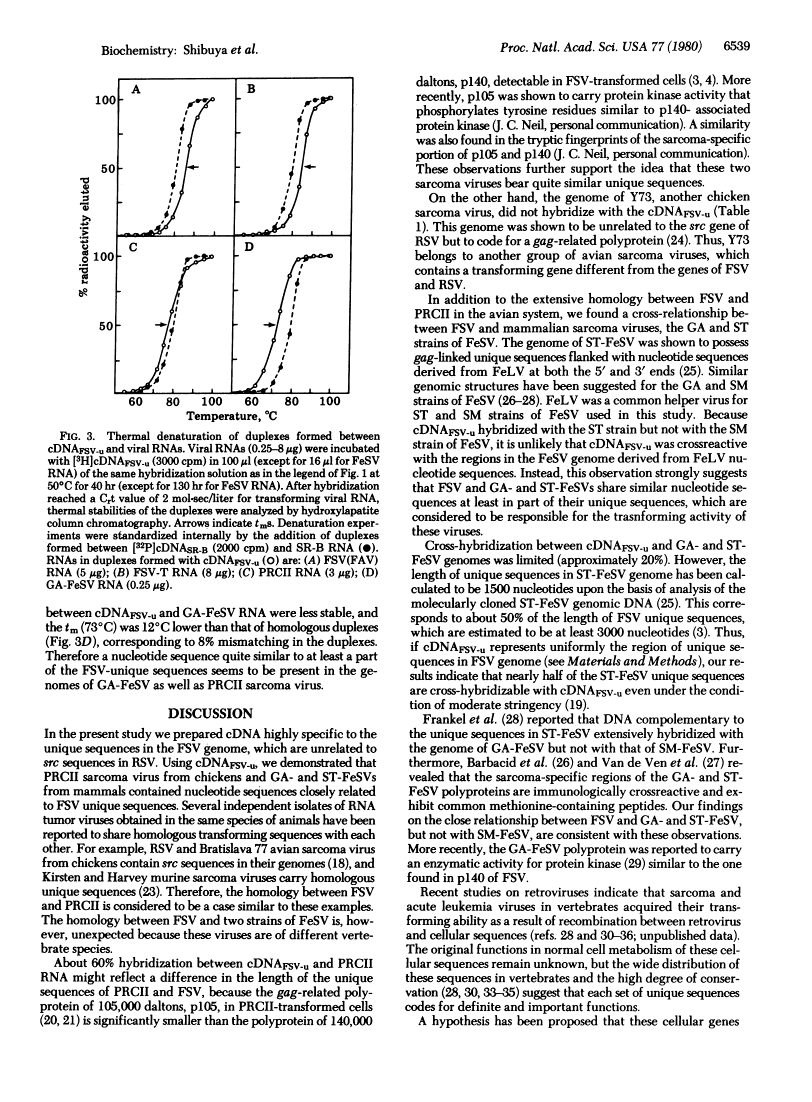 icon of scanned page 6539