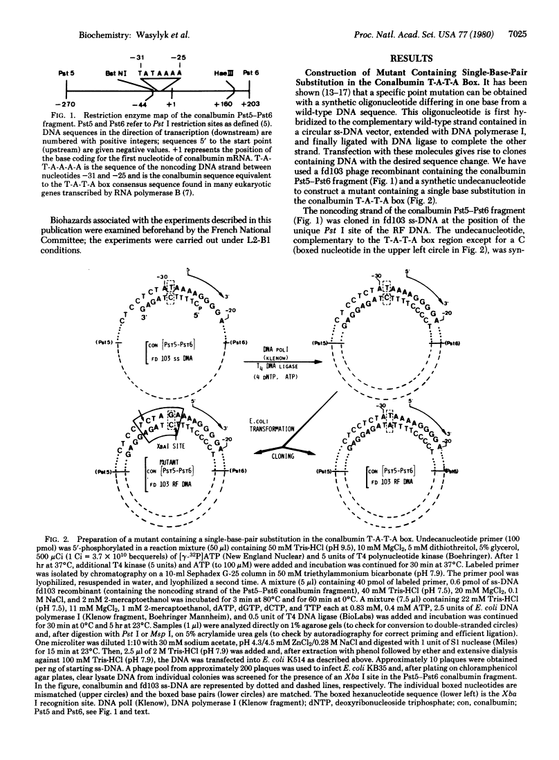 icon of scanned page 7025