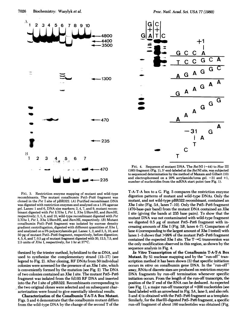 icon of scanned page 7026