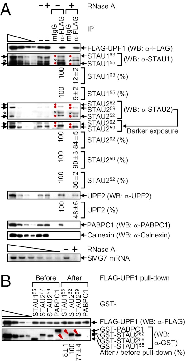 An external file that holds a picture, illustration, etc.
Object name is pnas.1213508110fig02.jpg