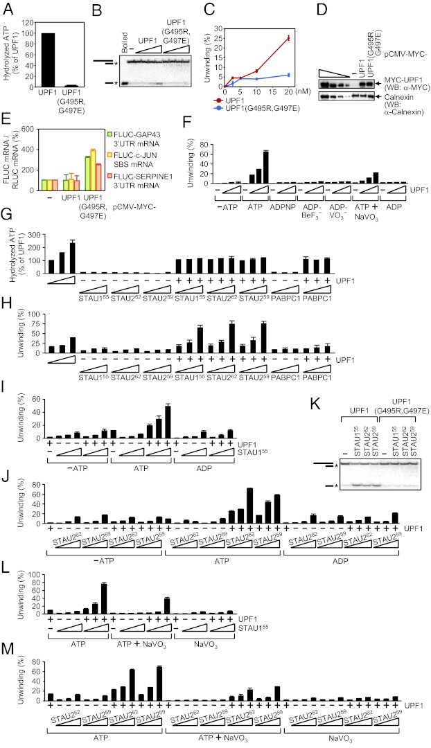 An external file that holds a picture, illustration, etc.
Object name is pnas.1213508110fig06.jpg