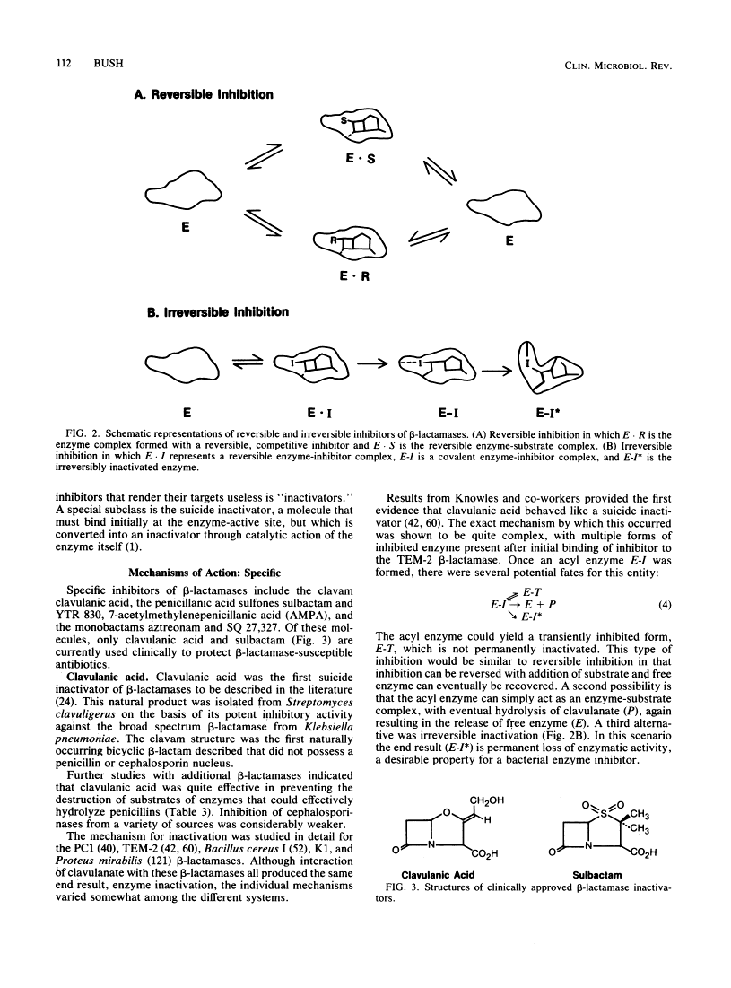 icon of scanned page 112