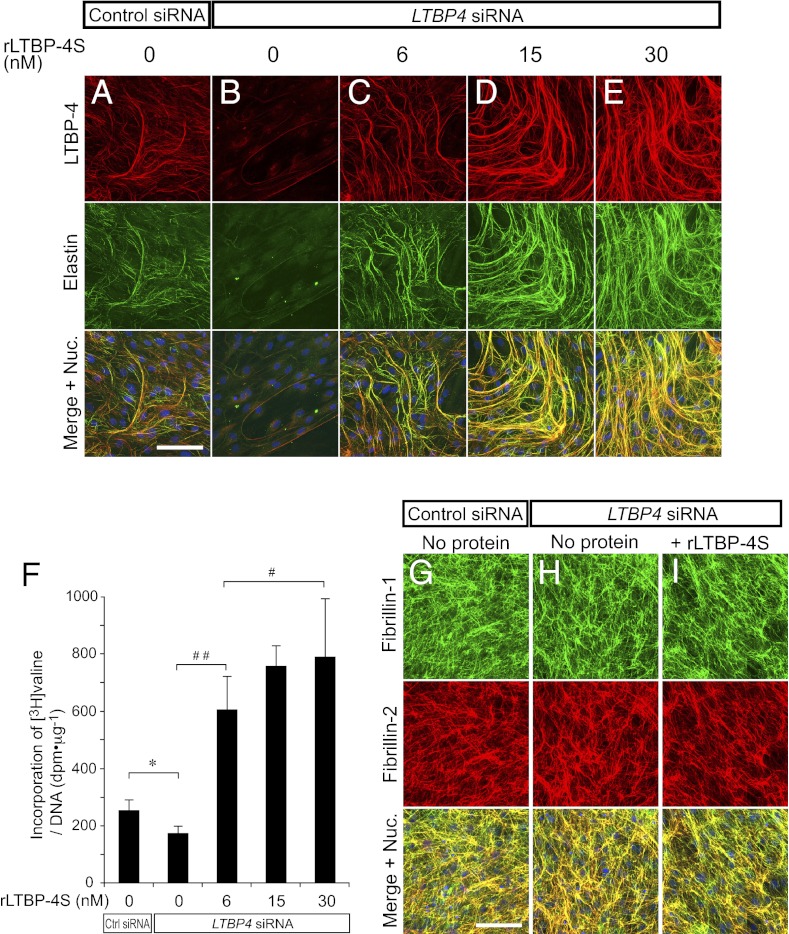 An external file that holds a picture, illustration, etc.
Object name is pnas.1215779110fig03.jpg