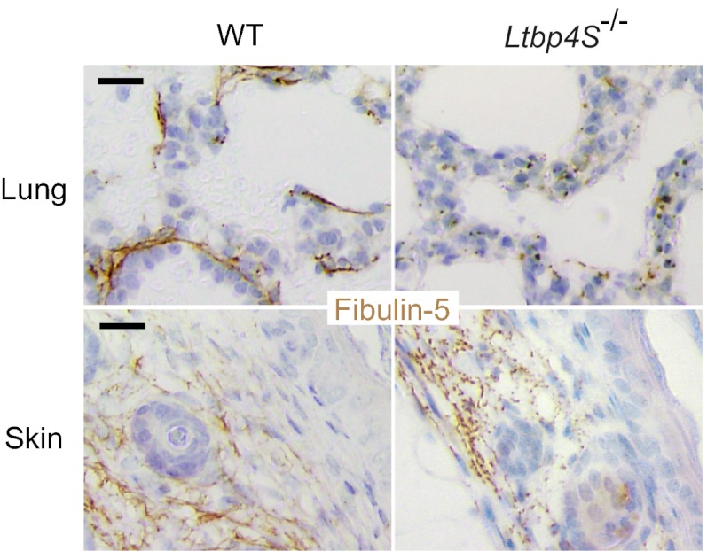 An external file that holds a picture, illustration, etc.
Object name is pnas.1215779110fig05.jpg