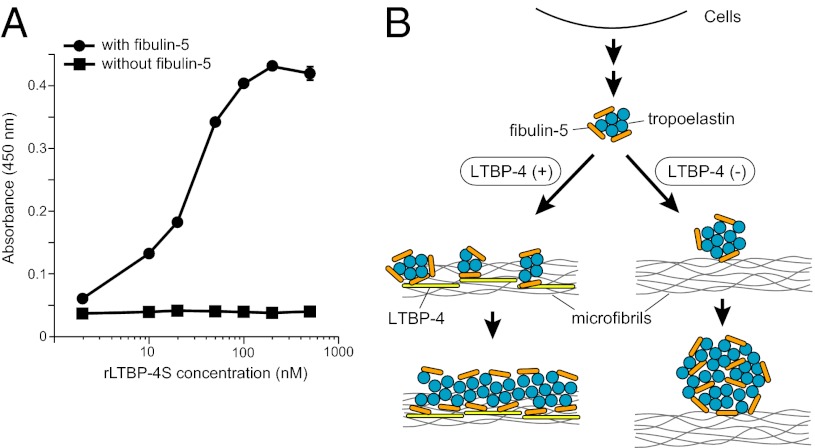 An external file that holds a picture, illustration, etc.
Object name is pnas.1215779110fig06.jpg