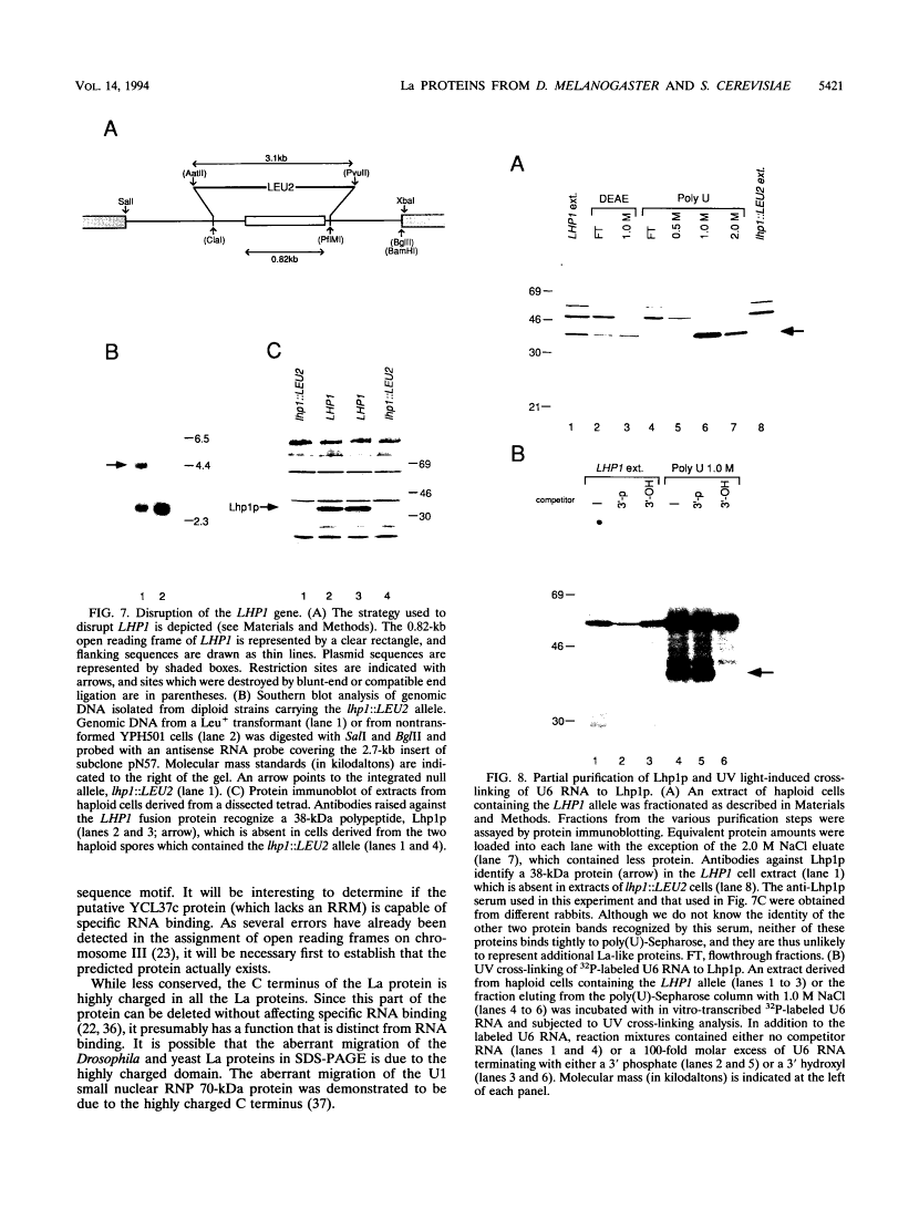 icon of scanned page 5421