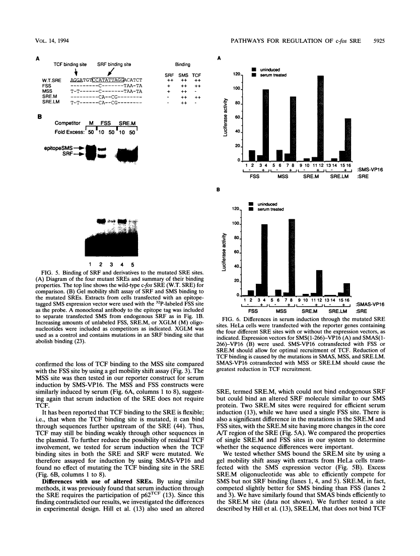 icon of scanned page 5925