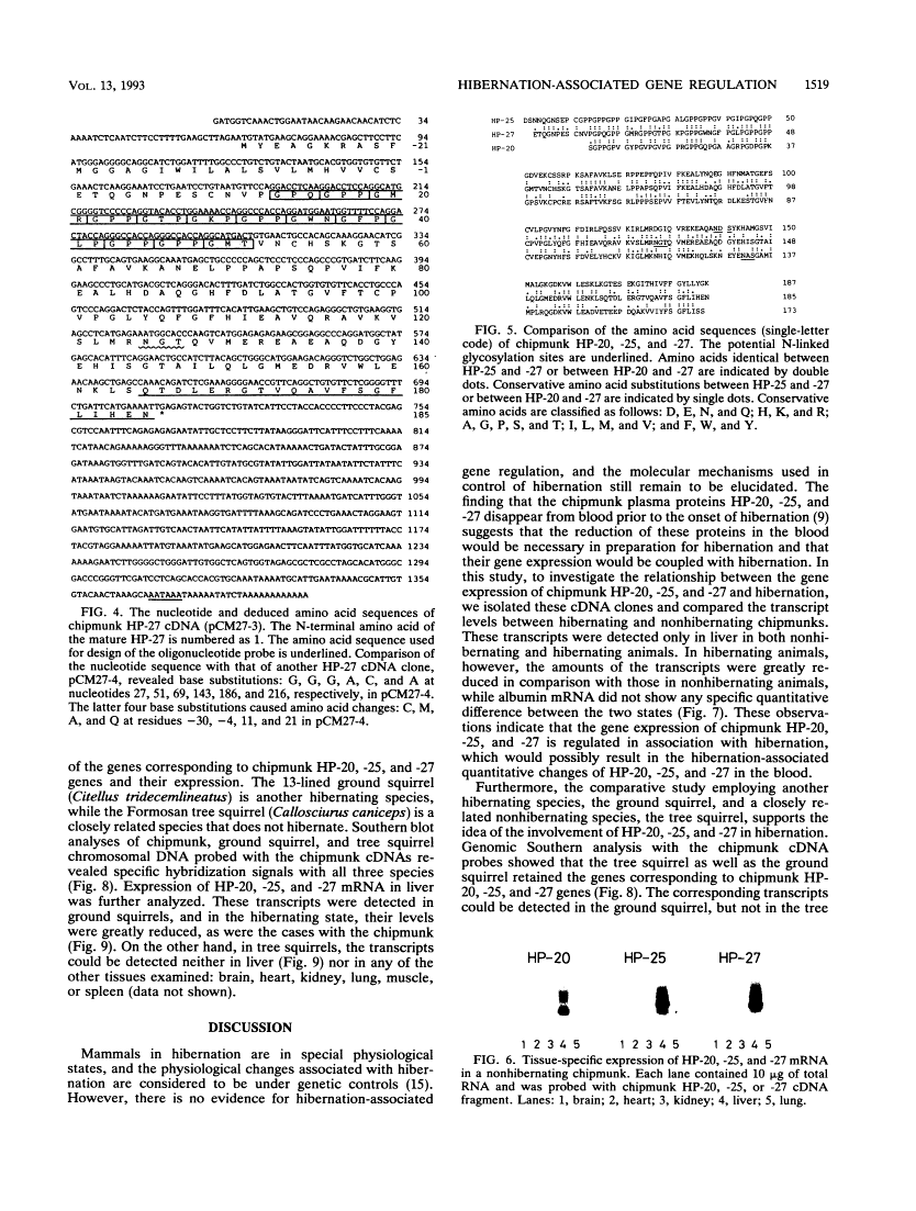 icon of scanned page 1519