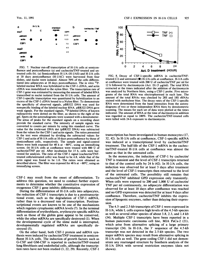 icon of scanned page 925